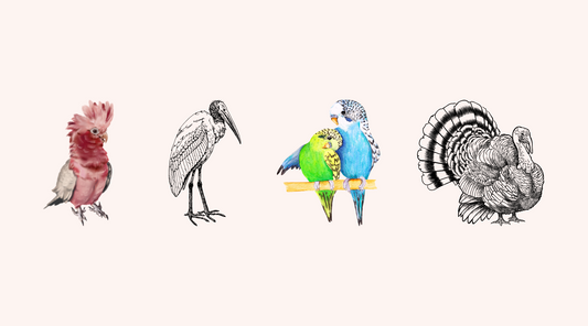 What to write when you don't know what to write - the Unseasoned guide to greeting cards