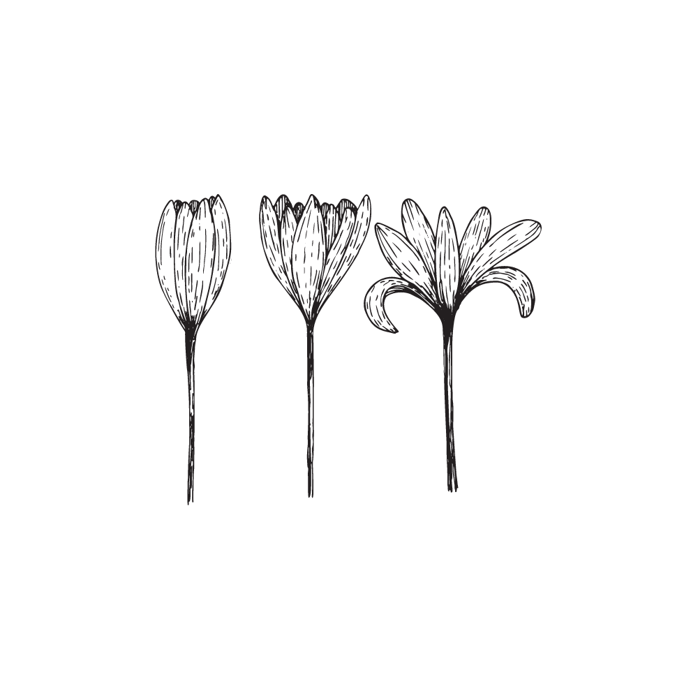 Filter Unseasoned Greetings cards by feeling, situation or collection