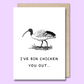 Greeting card with a black and white sketch of an ibis on the front. The text says “I’ve bin chicken you out”
